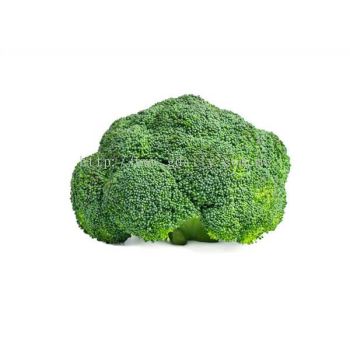 Broccoli