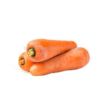 Australia Carrot