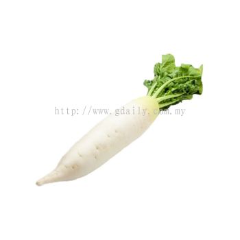 White Radish