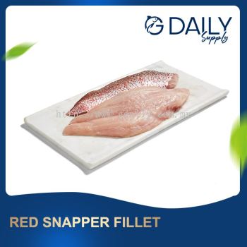 Red Snapper Fillet