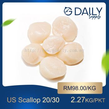 US Scallop