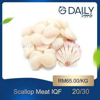 Scallop Meat IQF 20/30