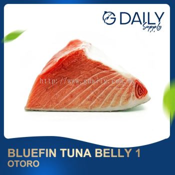 BlueFin Tuna Belly 1 (OTORO)