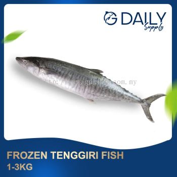 Frozen Tenggiri Fish