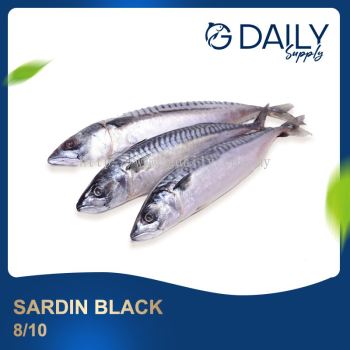 Sardin Black