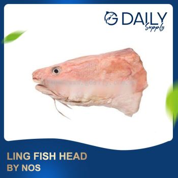 Ling Fish Head