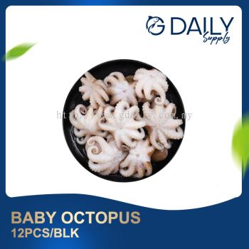 Baby Octopus