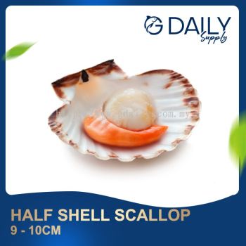 Half Shell Scallop 9-10cm
