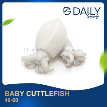 Baby Cuttlefish 40-60