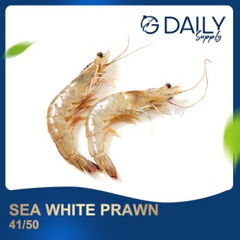 Sea White Prawn 41/50