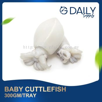 Baby Cuttlefish 300gm/tray
