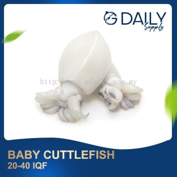 Baby Cuttlefish 20-40 IQF