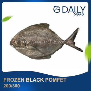 Frozen Black Pomfet 200/300