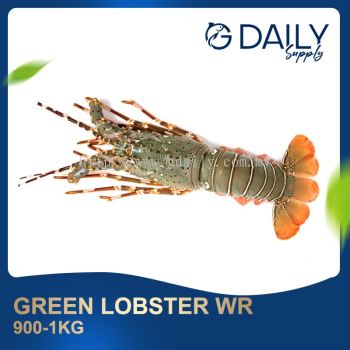 Green Lobster WR 900-1kg