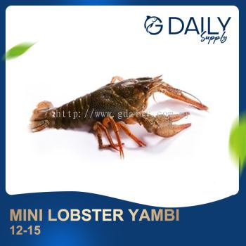 Mini Lobster Yambi 12-15