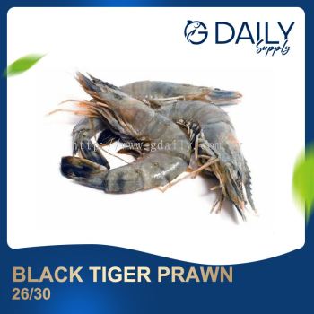 Black Tiger Prawn 26/30