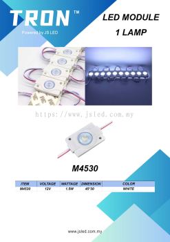 MODULE 1 LED