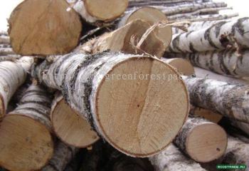 Industrial Timber Log
