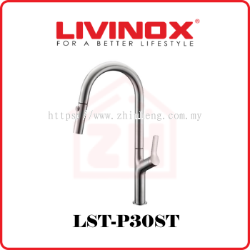 LIVINOX Pillar-Mounted Kitchen Tap LST-P30ST