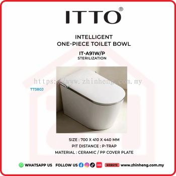 ITTO INTELLIGENT ONE-PIECE TOILET BOWL IT-A91W/P
