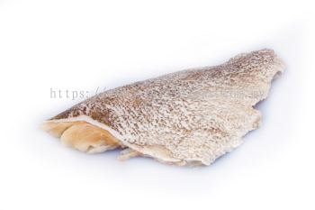 Grouper Fish Fillet