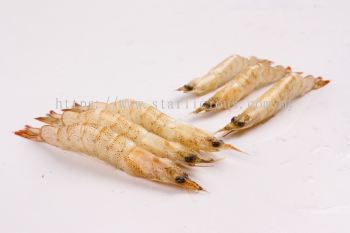 Ko Ebi (Thelly Shrimp)