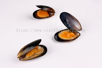 Full Shell Black Mussel