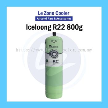 Iceloong R22 800g