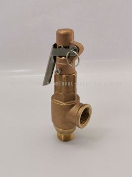 Safety Valve