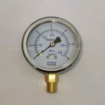 2 1/2'' Dial Pressure Gauge | Bottom Connection 1/4'' | Reading 0 - 0.6 MPa or 0 - 6 kg/cm2 | Stainless Steel Casing | Brass Connector 