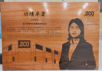 VIP Retirement gift souvenir wood laser engraving custom made