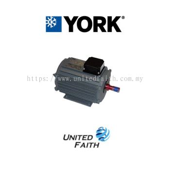 024 30900 002 - 2HP Fan Motor