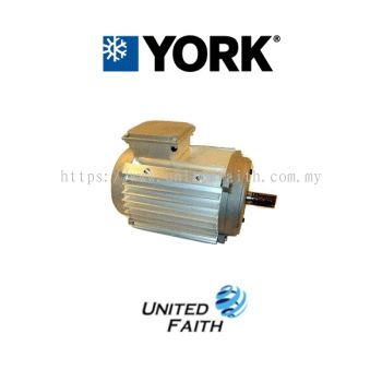 024 36874 004 - 3 HP TEAO MOTOR