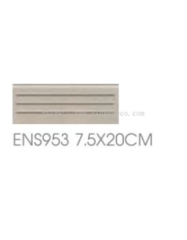 ENS953