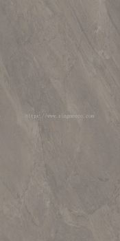 X6R5085C [ARDESIA TAUPE] 60X120CM