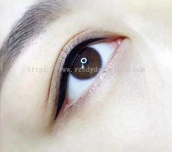 Eyeliner Embroidery 