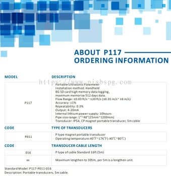 Portable Ultrasonic Flowmeter P117