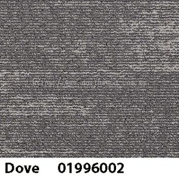Paragon Water - Dove 01996002