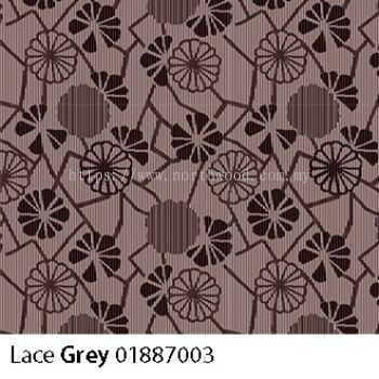 Paragon Lace - Grey 01887003