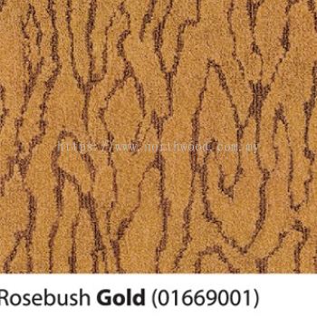 Paragon Rosebush - Gold 01669001