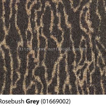 Paragon Rosebush - Grey 01669002