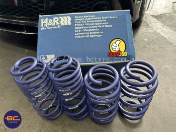 H&R LOWERING SPRINGS