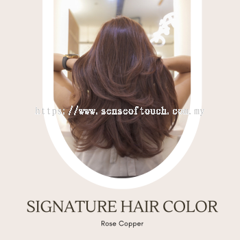 ST Signature Hair Color