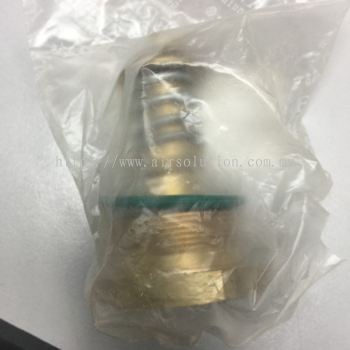 Thermostatic Valve 02250078-204