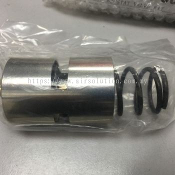 Thermostat Valve Kit 2901007400