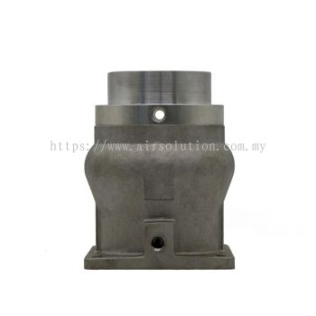 Intake Valve 02250130-050