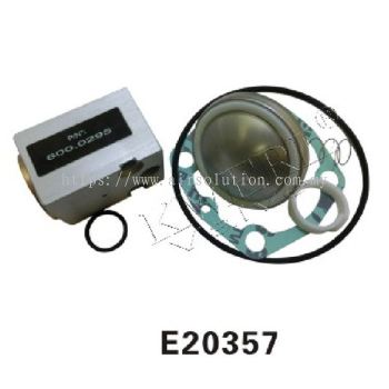 Intake Valve Kit RC25