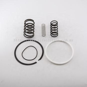 KWERL (OEM) Intake Valve Kit 