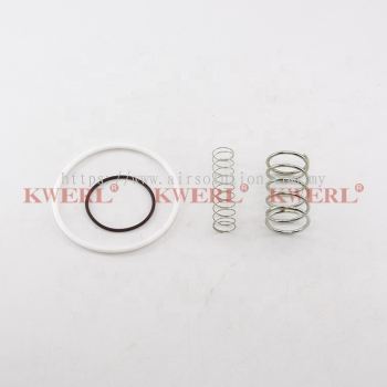 KWERL (OEM) Intake Valve Kit 