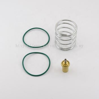 KWERL (OEM) Thermostatic Valve Kit 